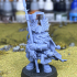 Dwarf Mountain Lord - Highlands Miniatures image