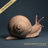 Burgundy Snail (Helix pomatia) 1:1 Life sized image