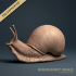 Burgundy Snail (Helix pomatia) 1:1 Life sized image