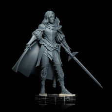 Picture of print of Esther, the Griffon Knight - Elf Paladin