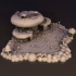 Mushroom Hot Springs image