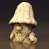 Shroomlet Mushroom image
