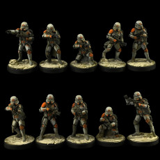 Picture of print of Republic Airborne Troopers