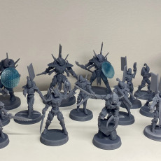 Picture of print of Tech Elves - Assault Divisions