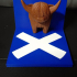 Highland Coo Book Stand image