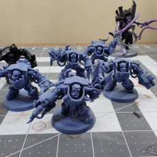 Picture of print of Meznobz multipart set (pre-supported)