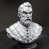 Curse of Strahd Bust - Urwin [Pre-Supported] print image