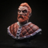 Curse of Strahd Bust - Urwin [Pre-Supported] print image