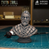 Curse of Strahd Bust - Urwin [Pre-Supported] image