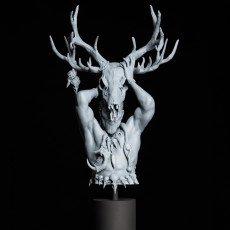 Picture of print of Druid Bust