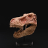 Carved T-Rex Skull image