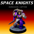 Space Knights - Agressive Captain image