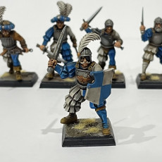 Picture of print of Modular Swords for hire : Elite mercenaries  [PRE-SUPPORTED]