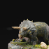 Triceratops Statue image