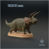 Triceratops horridus : Display image