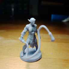 Picture of print of Flayer Elf - B