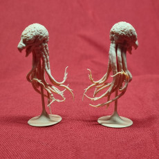 Picture of print of Grell - Tabletop Miniature