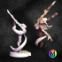 Female Elf Blade Dancer - Miriel the Blade Dancer  (Female Blade Dancer) image
