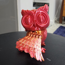 Picture of print of Public Release: Flexi Factory Owl