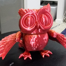 Picture of print of Public Release: Flexi Factory Owl