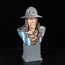 Picture of print of Man-At-Arms Bust