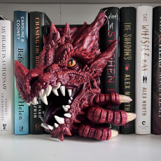Picture of print of Dragon [BOOK NOOK]