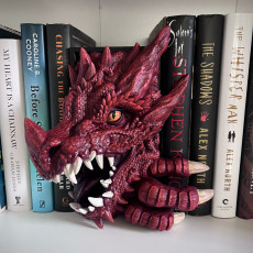 Picture of print of Dragon [BOOK NOOK]