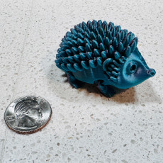 Picture of print of HEDGEHOG