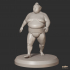 Sumo Ozeki - Sumo Wrestler Miniature image