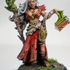 Picture of print of Reina The Outcast Sorceress [PRE-SUPPORTED] Female Human