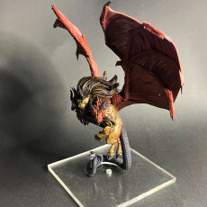 Picture of print of Chimera - RPG Monster DnD 5e - Mortal Enemies Set 11