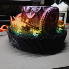 Picture of print of Dragon Planter, Dragon Container Box