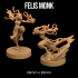 Felis Monk | PRESUPPORTED | Masters of The Elements image