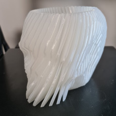 Picture of print of Fidget Skull (vase mode!)