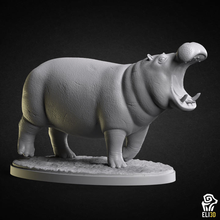 Hippo - Animal's Cover