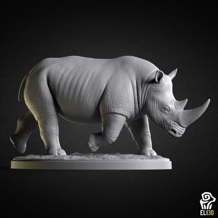 Rhino - Animal's Cover