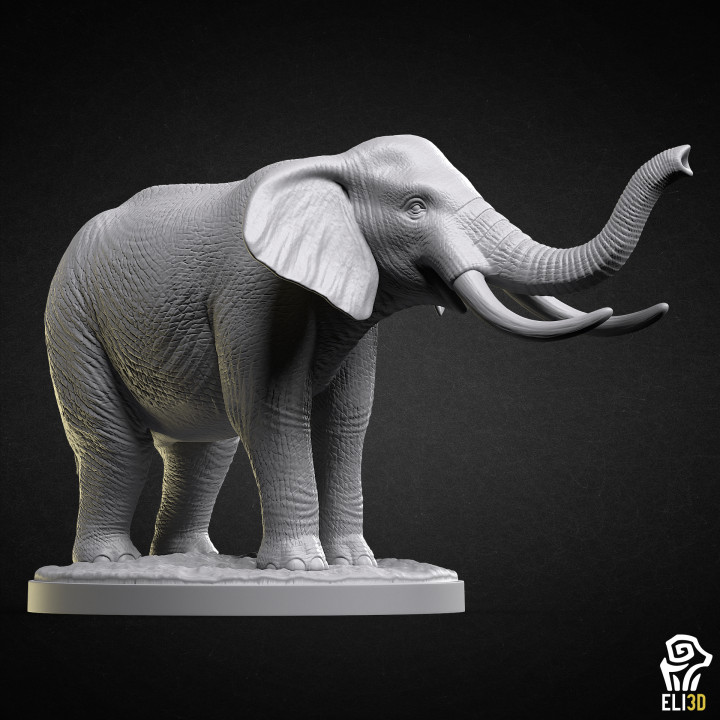 Elephant - Animal's Cover