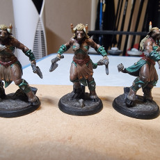 Picture of print of Beastman Females set 6 miniatures 32mm pre-supported