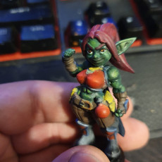 Picture of print of Blix the Goblin Fighter