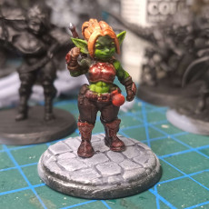 Picture of print of Blix the Goblin Fighter