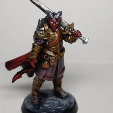Picture of print of Knight Tiefling Male