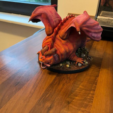 Picture of print of CHONKY DRAGON!
