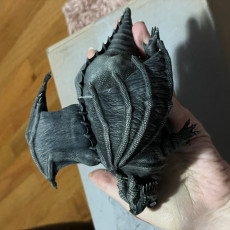 Picture of print of CHONKY DRAGON!