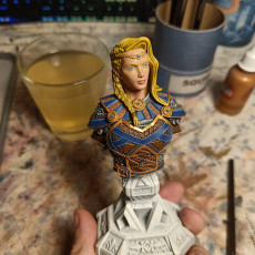 Picture of print of BUST: Elite Shieldmaiden - Freya the Feared