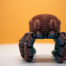 Picture of print of Crocheted Spider