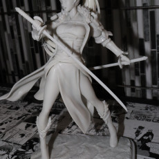 Picture of print of Blademaster of the Plains | 223mm