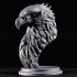 Bald Eagle (Pre-Supported) image