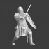 Medieval Hospitaller knight - sugarloaf helmet image