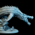 Swordtooth Sea Drake image