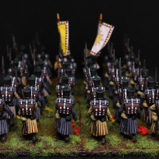Picture of print of Napoleonic Bavarian Infantry